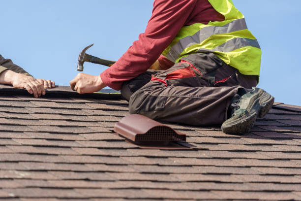 Roof Waterproofing Services in Tuscumbia, AL