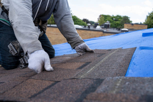 Best Roof Repair Specialists  in Tuscumbia, AL