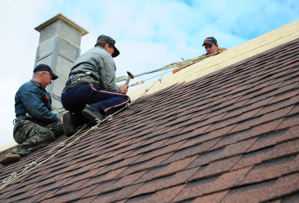 Best Commercial Roofing Services  in Tuscumbia, AL